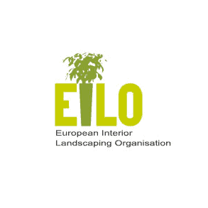 Eilo