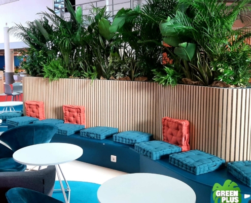 Les Assises de la Cybersécurité à Monaco, végétalisation et location de plantes par Green Plus