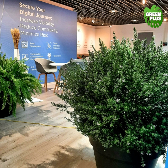 Les Assises de la Cybersécurité à Monaco, végétalisation et location de plantes par Green Plus